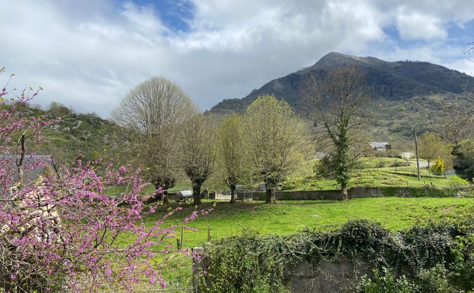 Belle Demeure de l'Epoque Empire au Coeur de la Vallée avec Superbes Vues des Montagnes